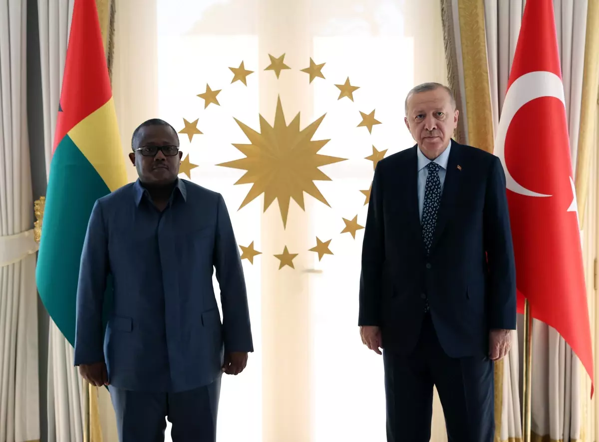 Cumhurbaşkanı Erdoğan, Gine Bissau Cumhurbaşkanı Embalo ile görüştü