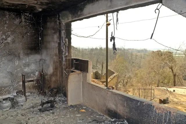 Evlerine gelip küle döndüğünü görünce gözyaşlarına boğuldular