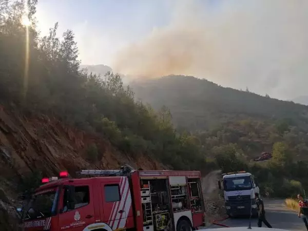 Son dakika: MANAVGAT'TAKİ BÜYÜK YANGIN 3'ÜNCÜ GÜNÜNDE
