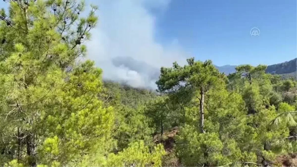 Gazipaşa ilçesindeki orman yangınına müdahale ediliyor