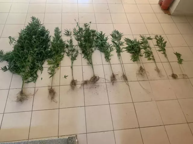 Uyuşturucu operasyonlarında 14 şüpheli yakalandı