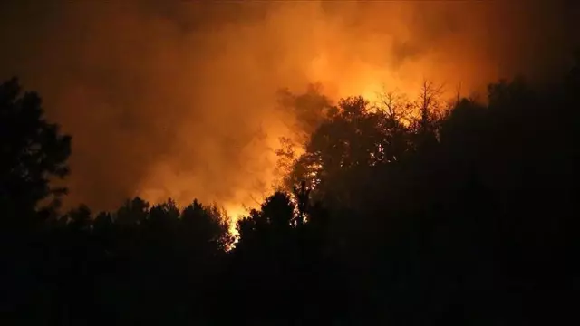 Hatay yangını söndürüldü mü? Hatay yangını son durum ne? Hatay'daki yangın söndü mü?