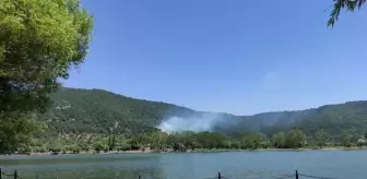 izmir de cikan orman yanginina mudahale ediliyor
