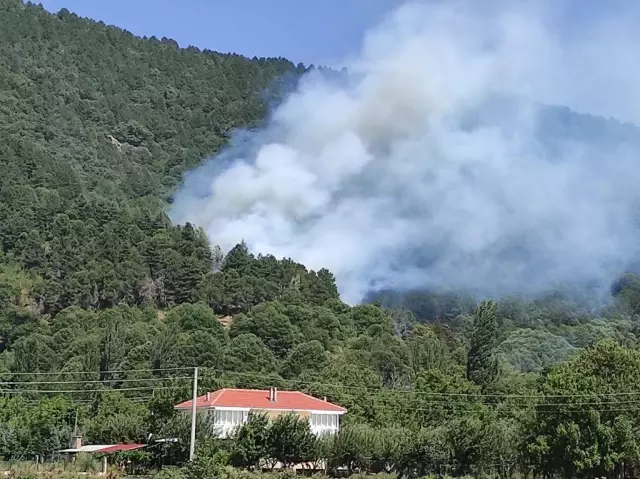 İzmir'de çıkan orman yangınına müdahale ediliyor