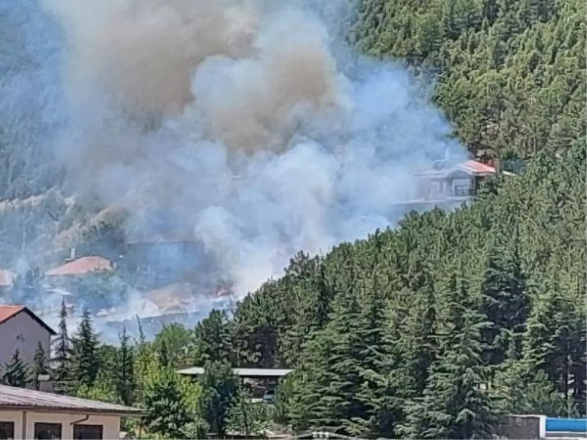 Son dakika haberi... Konya'da yangın, ormanlık alana sıçramadan söndürüldü