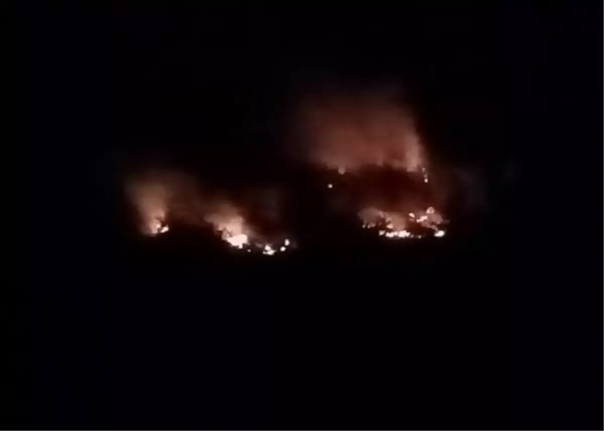 Kozan'da ikinci gününde devam eden orman yangının acı tablosu sabah ortaya çıktı