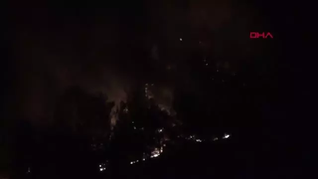 Kozan'da ikinci gününde devam eden orman yangının acı tablosu sabah ortaya çıktı