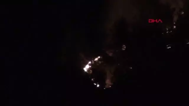 Kozan'da ikinci gününde devam eden orman yangının acı tablosu sabah ortaya çıktı