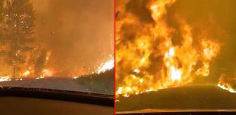 Manavgat'ta yardım götüren 4 esnaf, alevlerin arasında kaldı