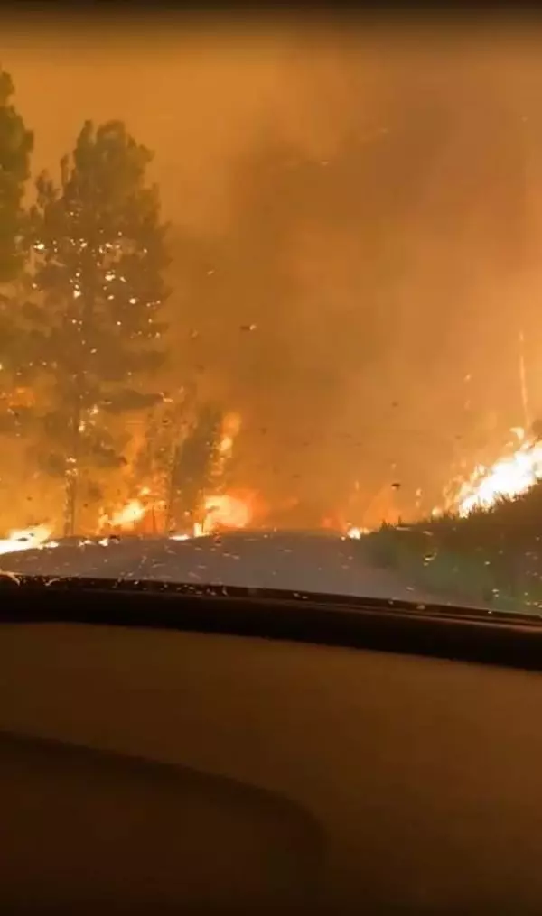 Manavgat'ta yardım götüren 4 esnaf, alevlerin arasında kaldı