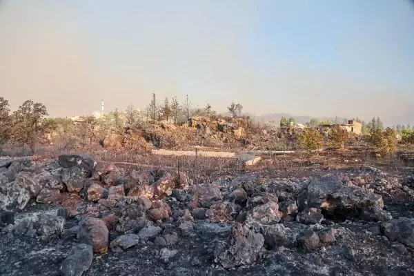 Son dakika: MANAVGAT'TAKİ BÜYÜK YANGIN 3'ÜNCÜ GÜNÜNDE