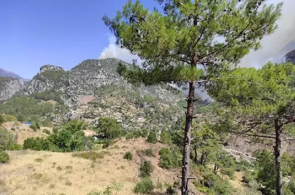 Manavgat'taki yangınla ilgili belediye başkanından halka çağrı: Bu bir savaş