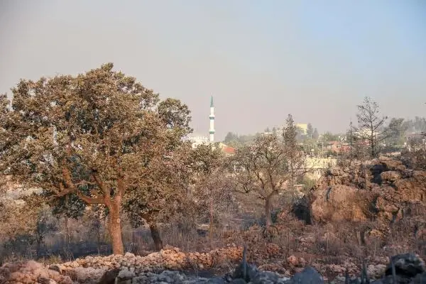 Son dakika: MANAVGAT'TAKİ BÜYÜK YANGIN 3'ÜNCÜ GÜNÜNDE