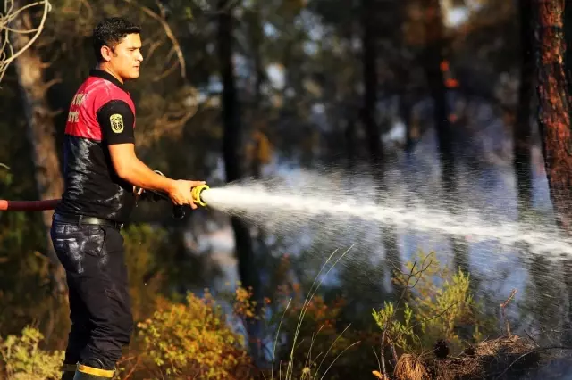 Marmaris'te ilk belirlemelere göre 1 fabrika, 27 ev ve 1 araç yandı