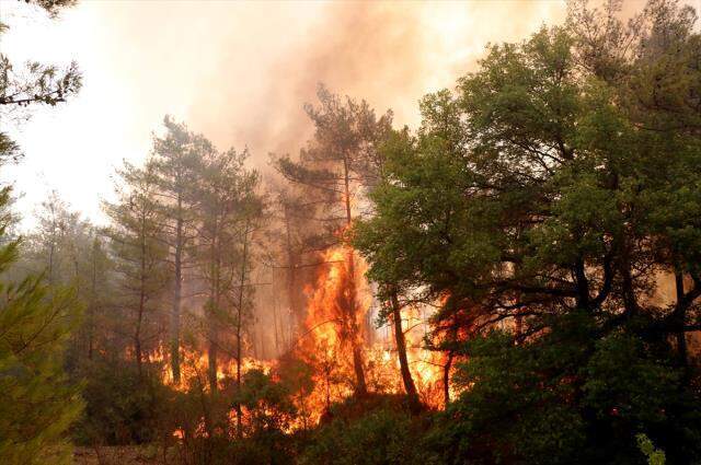 Marmaris'te yangınla ilgili vatandaşların şüphelendiği 2 kişi aranıyor