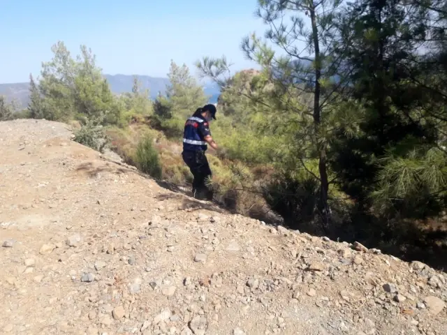 Marmaris yangınıyla ilgili ekipleri alarma geçiren ihbar! Eşkalleri belli 2 şüpheli aranıyor