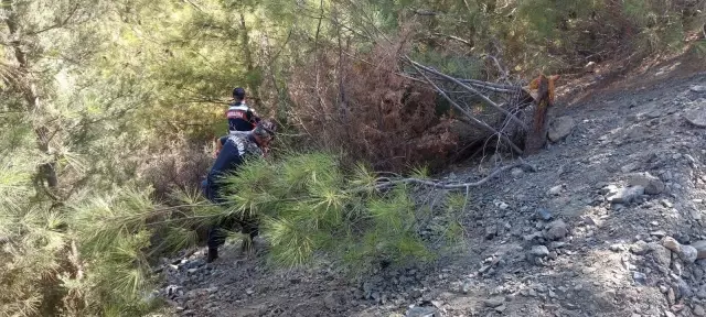 Marmaris yangınıyla ilgili ekipleri alarma geçiren ihbar! Eşkalleri belli 2 şüpheli aranıyor