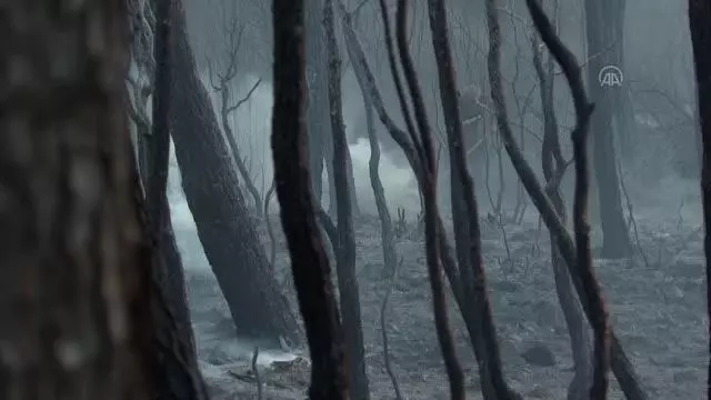 Marmaris'teki orman yangınına müdahale karadan devam ediyor