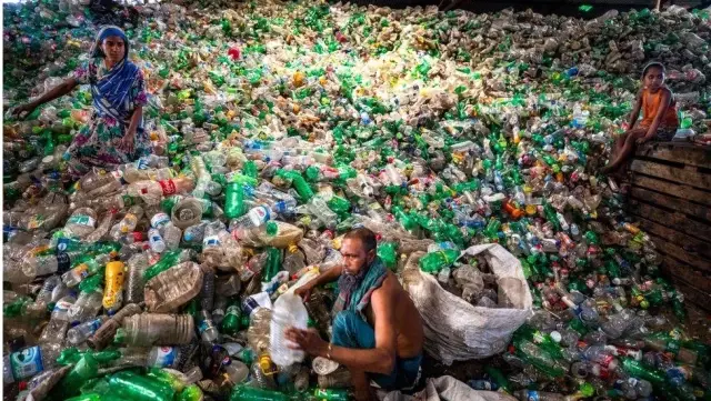 Plastik yiyen bakteri ve mantarlar atık sorununa çözüm olabilir mi?