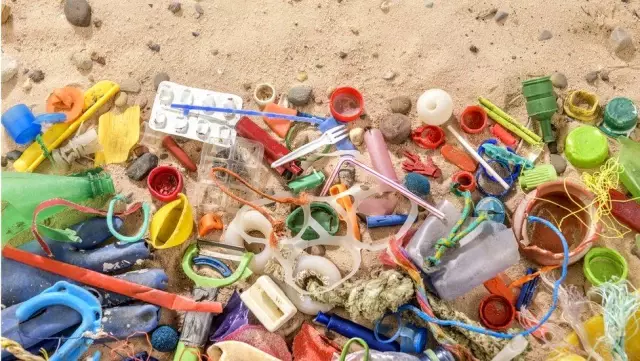 Plastik yiyen bakteri ve mantarlar atık sorununa çözüm olabilir mi?