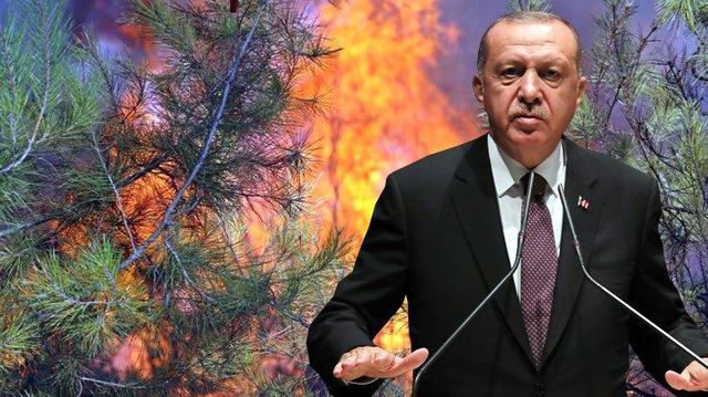son dakika cumhurbaskani erdogan dan yanginlarda 14298115 6681 o