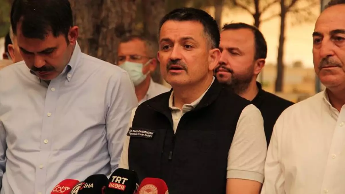 Tarım ve Orman Bakanı Pakdemirli: Tesis yapılacaksa şartları bellidir, ormanların yakılmasına ihtiyaç yoktur