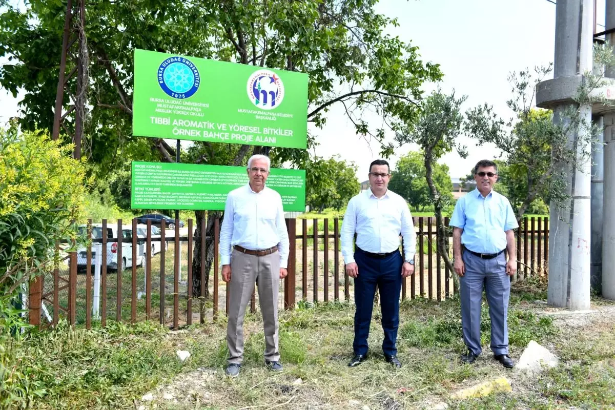 Tıbbi ve aromatik bitkiler bahçesi örnek olacak
