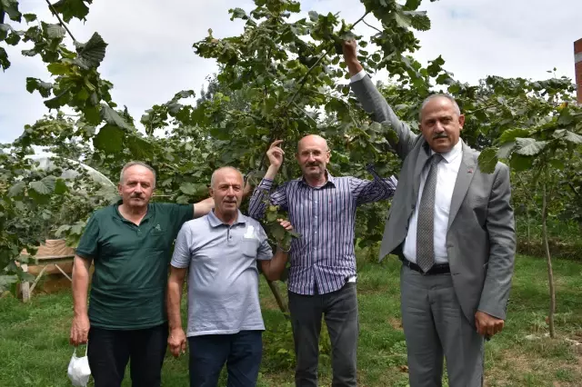 Fındık üreticilerine erken hasat uyarısı