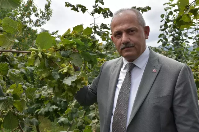Fındık üreticilerine erken hasat uyarısı