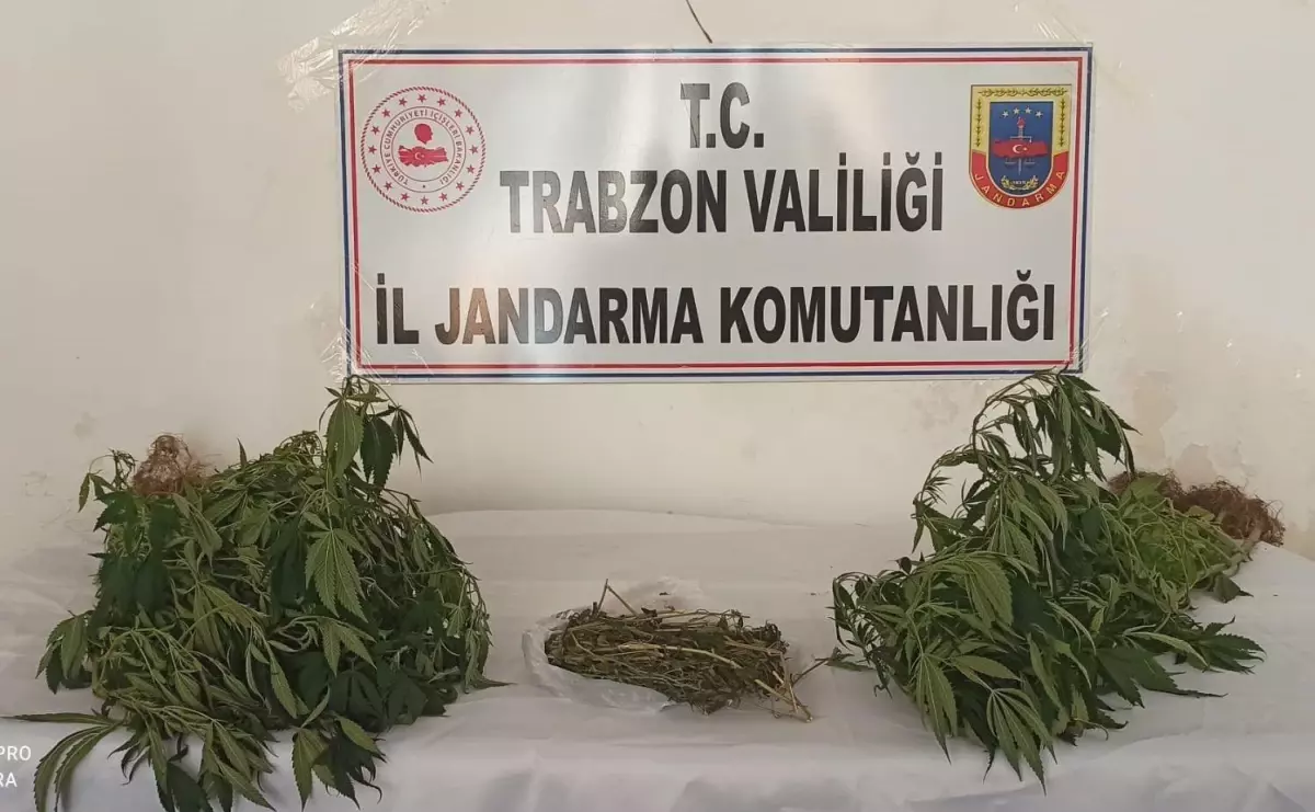 Trabzon'da uyuşturucu ele geçirildi