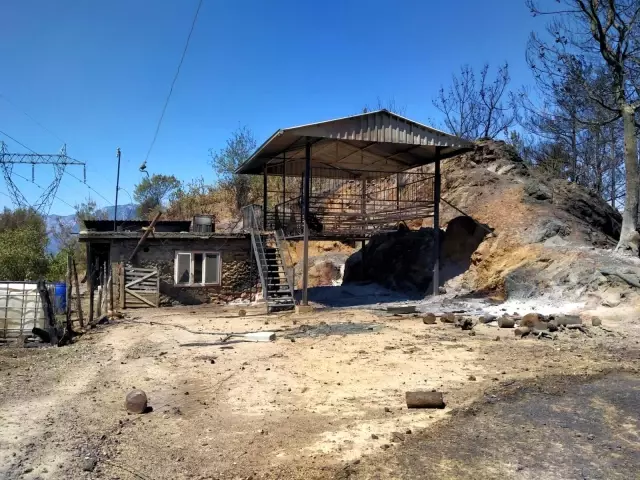 Son dakika: Yangında zarar görenlere psiko-sosyal ve ekonomik destek