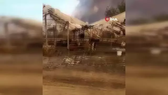 Yeni doğan oğlak ve kurtarabildiği hayvanları tesellisi oldu...Evini, arabasını ve hayvanlarını kaybetti, gözyaşları içinde böyle anlattı