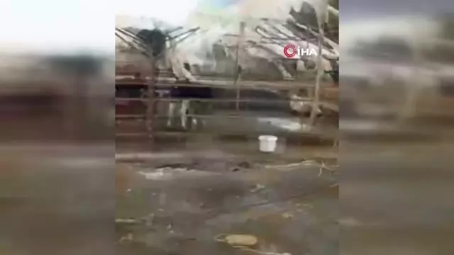Yeni doğan oğlak ve kurtarabildiği hayvanları tesellisi oldu...Evini, arabasını ve hayvanlarını kaybetti, gözyaşları içinde böyle anlattı