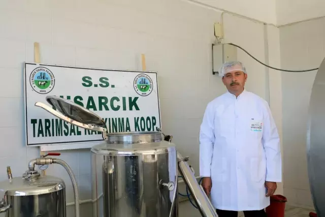 Kütahya'da Adaçayı hasadı başladı