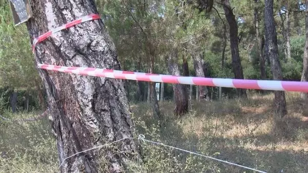 ADALAR'DA ORMANLARDA DENETİM
