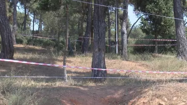 ADALAR'DA ORMANLARDA DENETİM