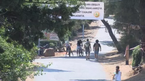 ADALAR'DA ORMANLARDA DENETİM