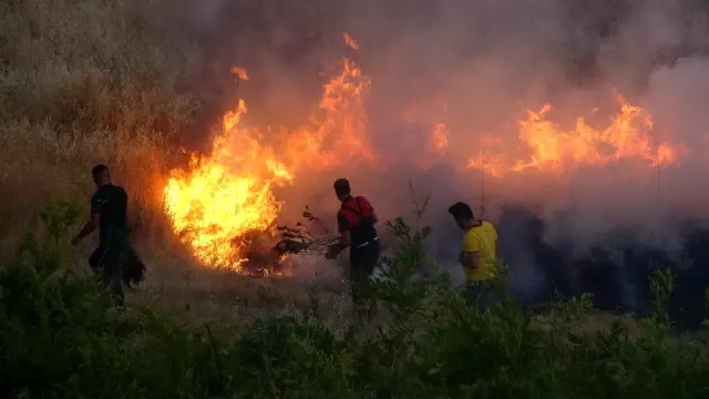 Son dakika haberleri! Adıyaman'da korkutan bahçe yangını