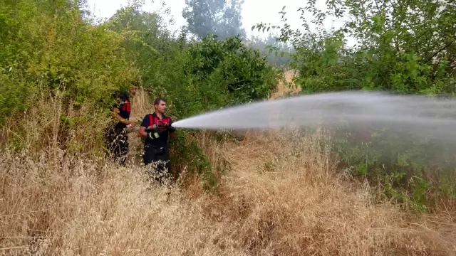 Son dakika haberleri! Adıyaman'da korkutan bahçe yangını