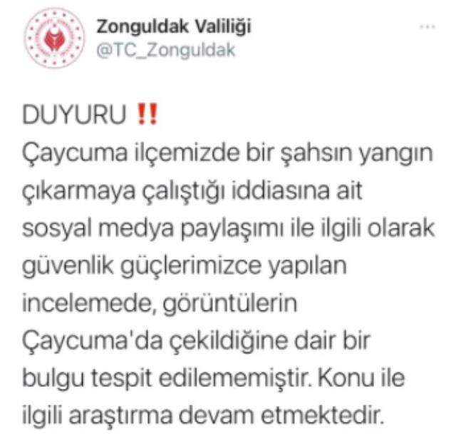 Ağacı ateşe vermeye çalıştıkları o an kamerada