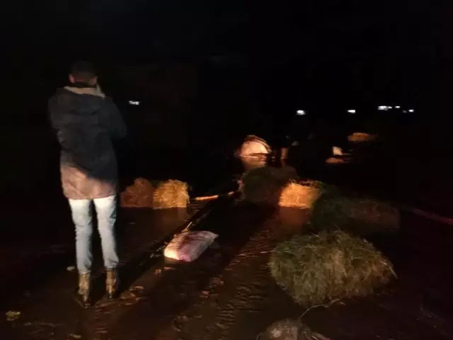 Ağrı'da sağanak yağış sele neden oldu