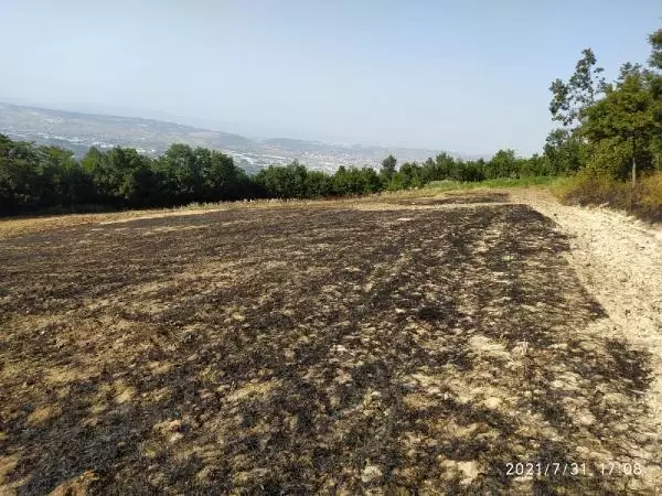 Anız yakan çiftçiye 2 bin 800 TL ceza