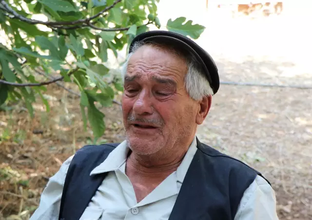 Son dakika haberleri! Yangında şehit olan orman işçisinin babaevi Türk bayraklarıyla donatıldı