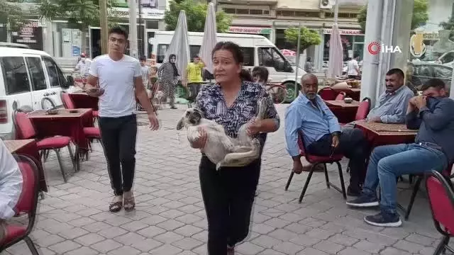 Araba çarpması sonucu yaralanan yavru köpeği kucağına alarak veterinere koşturdu