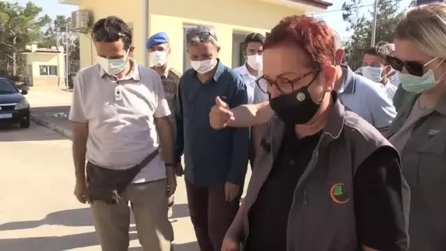 Bakan yardımcıları İnce ve Işıkgece, yangında zarar gören alanlarda incelemede bulundu
