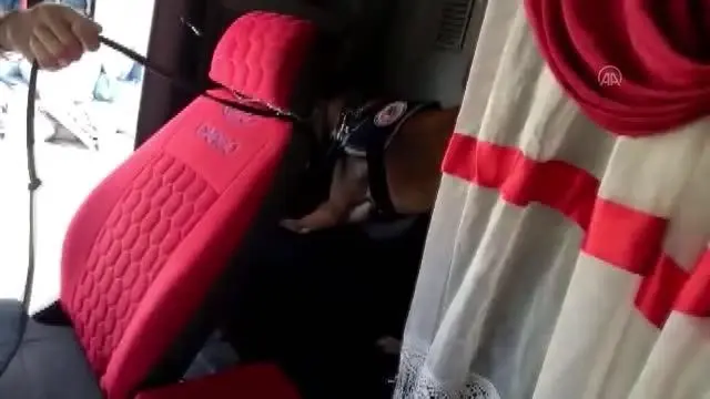 Bir kamyonda 10 bin 70 uyuşturucu hap ele geçirildi