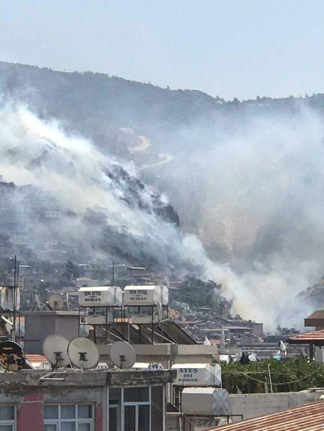 Bir yangın da Hatay'da! Bazı evler tahliye edildi, ekipler alevlere müdahale ediyor