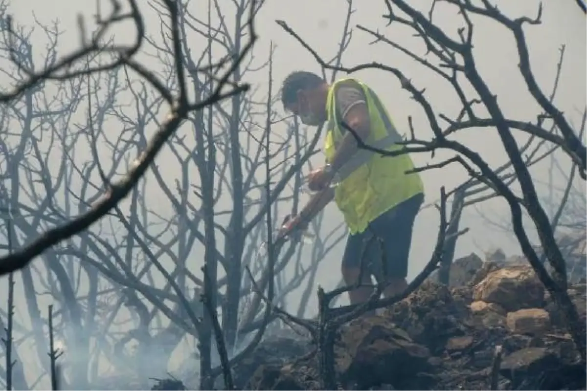 Son dakika haberi... Bodrum'da makilik yangını (4)