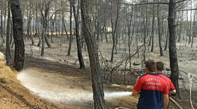 Son dakika haberi: Büyükşehir itfaiye ekipleri yangınla canla başla mücadele ediyor.