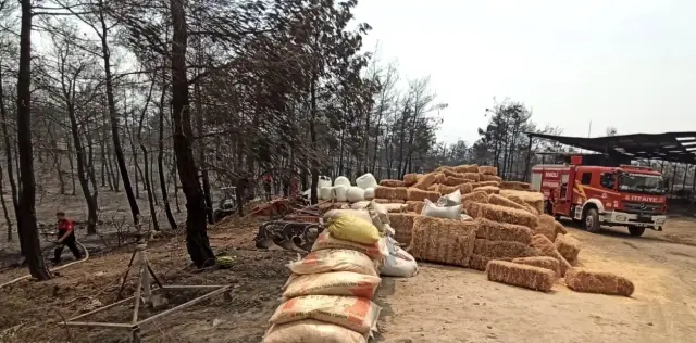 Son dakika haberi: Büyükşehir itfaiye ekipleri yangınla canla başla mücadele ediyor.